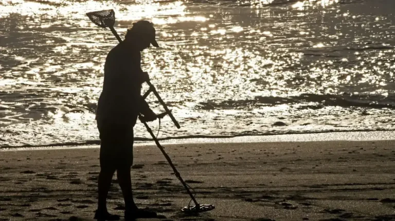 Beach Metal Detecting